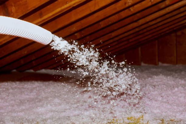 Best Blown-in Insulation in Ovid, MI