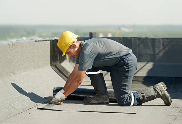 Best Insulation Maintenance and Repair in Ovid, MI
