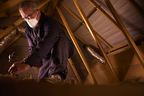 Best Eco-Friendly Insulation in Ovid, MI